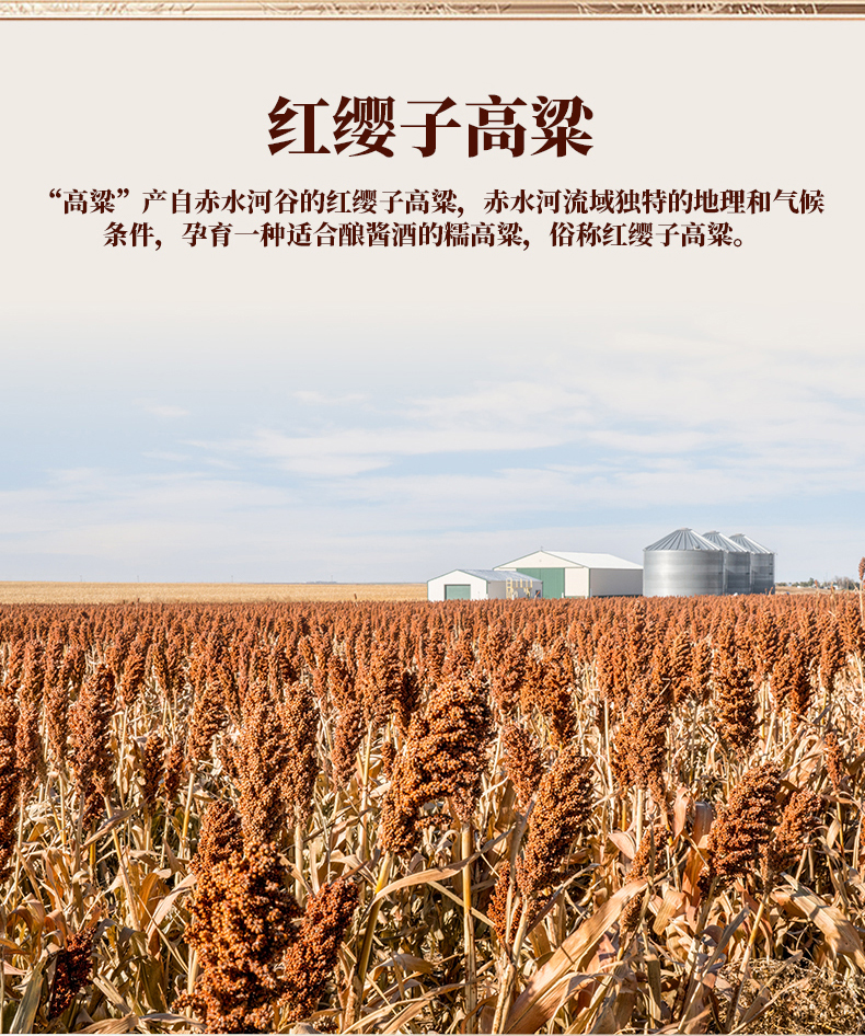 详情页切片_09.jpg