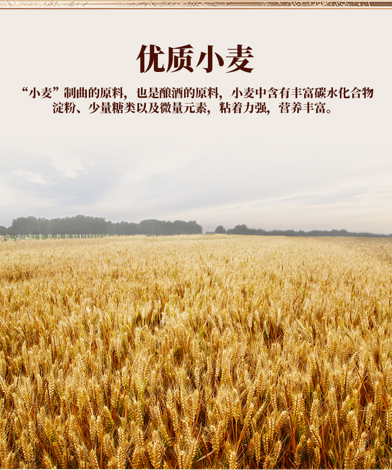 详情页切片_10.jpg