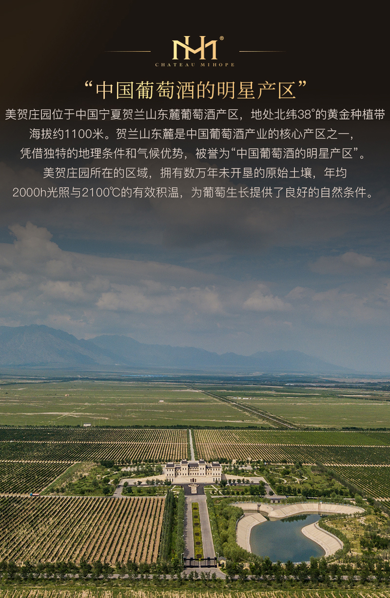 917切片_06.jpg